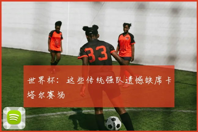 世界杯:这些传统强队遗憾缺席卡塔尔赛场