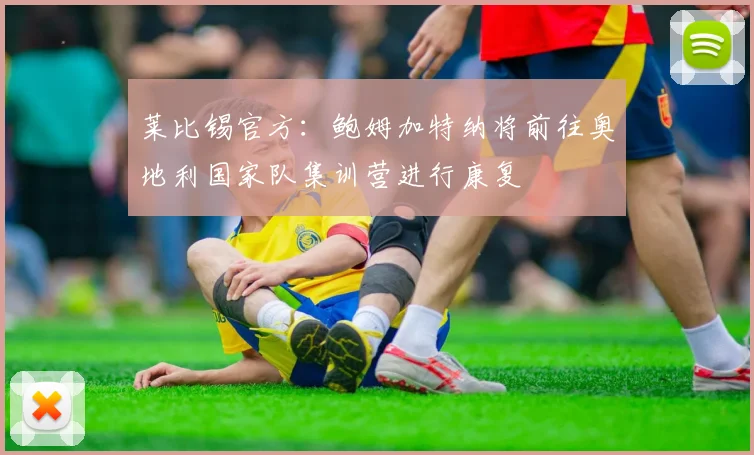 莱比锡官方:鲍姆加特纳将前往奥地利国家队集训营进行康复