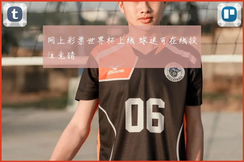 网上彩票世界杯上线 球迷可在线投注竞猜