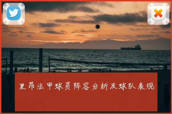 里昂法甲球员阵容分析及球队表现