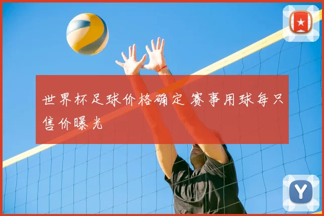 世界杯足球价格确定 赛事用球每只售价曝光