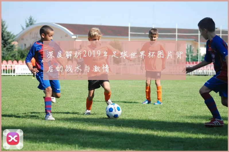 深度解析2019年足球世界杯图片背后的战术与激情