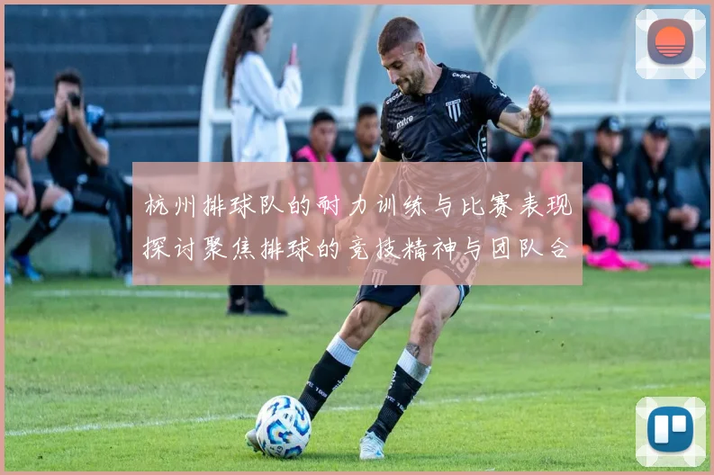 杭州排球队的耐力训练与比赛表现探讨聚焦排球的竞技精神与团队合作