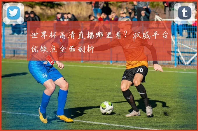 世界杯高清直播哪里看?权威平台优缺点全面剖析