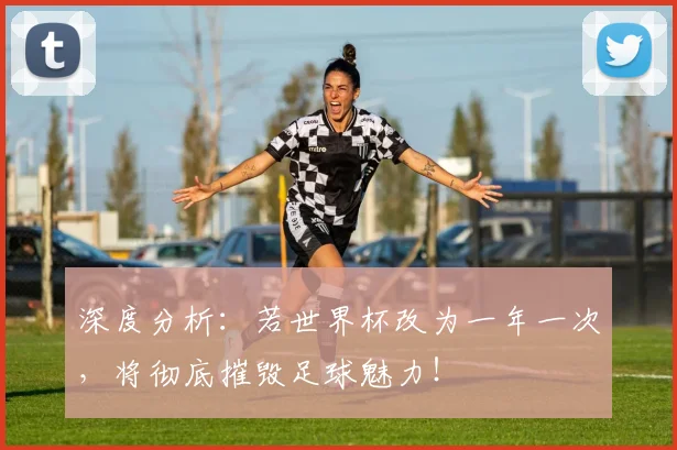 深度分析:若世界杯改为一年一次,将彻底摧毁足球魅力!
