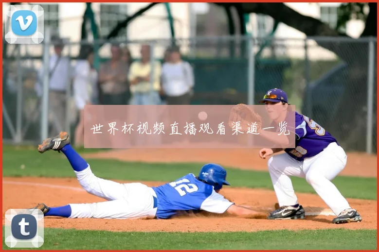 世界杯视频直播观看渠道一览